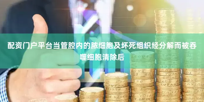 配资门户平台当管腔内的脓细胞及坏死组织经分解而被吞噬细胞清除后