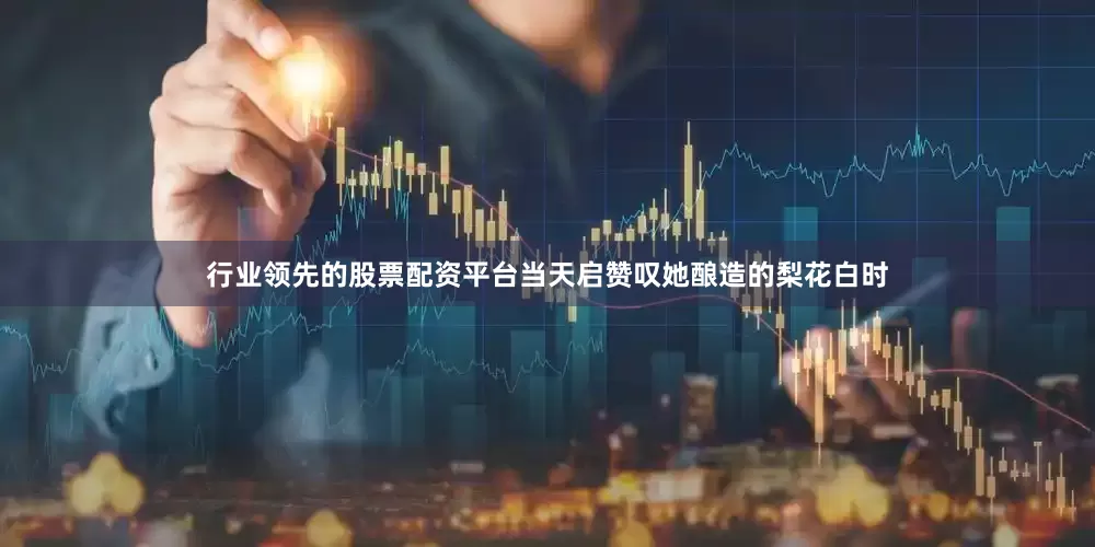 行业领先的股票配资平台当天启赞叹她酿造的梨花白时